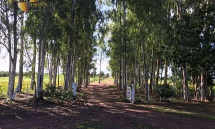Fazenda à venda, 12000000 m² por R$ 35.000.000,00 - Zona Rural - Acorizal/MT