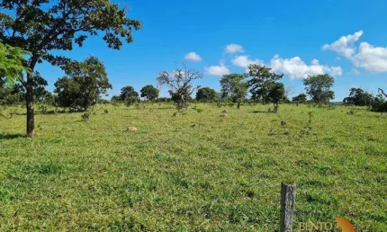 Fazenda à venda, 20037600 m² por R$ 66.000.000 - Zona Rural - Caiaponia/GO