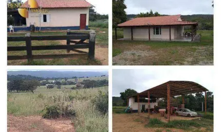 LEILÃO DE 50% DE 2 FAZENDAS EM:  Zona Rural - Cáceres/MT