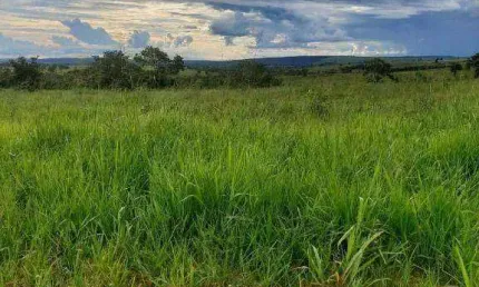 FAZENDA EM PRIMAVERA DO LESTE - à venda, 90000000 m² por R$ 117.000.000 - Zona Rural - MT