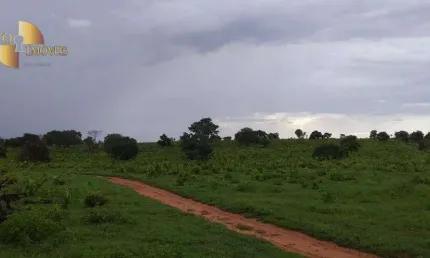 Fazenda à venda, 1035 hect por R$ 8.000.000 - Zona Rural - Primavera do Leste/MT