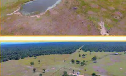 Fazenda à venda, 49900000 m² por R$ 22.000.000,00 - Zona Rural - Santo Antônio do Leverger/MT