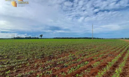 Fazenda à venda, 7150000 m² por r$ 28.000.000,00 - zona rural - poconé/mt
