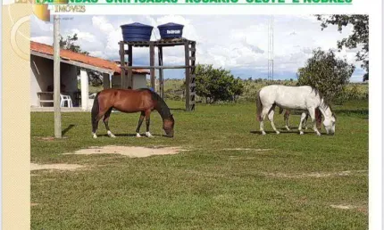 Fazendas unificadas rosário oeste e nobres à venda, 140000000 m² por r$ 232.400.000 - zona rural - rosário oeste/mt