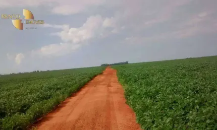 Fazenda à venda, 24610000 m² por R$ 28.000.000,00 - Zona Rural - Rondonópolis/MT