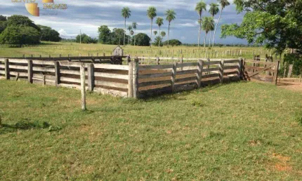 Fazenda em Poconé à venda, 66600000 m² por R$ 35.000.000 - Zona Rural - Poconé/MT