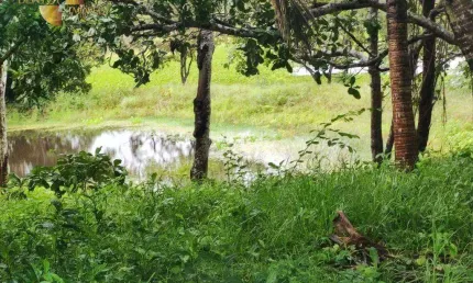 Fazenda 60km de poconé à venda, 5800000 m² por r$ 4.500.000 - zona rural - poconé/mt