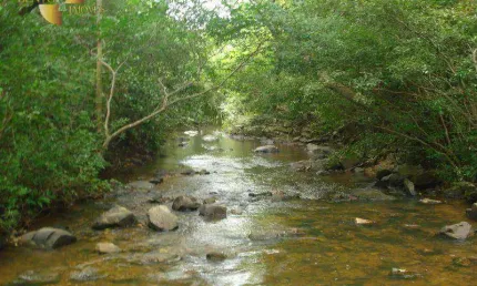 Fazenda em Nossa Senhora do Livramento  à venda, 4870000 m² por R$ 6.000.000 - Zona Rural - Nossa Senhora do Livramento/MT
