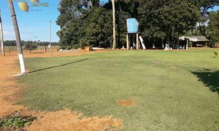 Fazenda em nova ubiratã à venda, 29300000 m² por r$ 80.400.000 - zona rural - nova ubiratã/mt