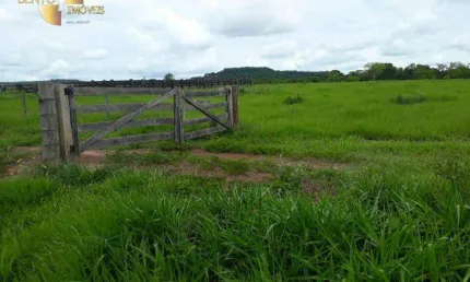 Fazenda indo pra Gaúcha do Norte à venda, 7960000 m² por R$ 12.000.000 - Zona Rural - Gaúcha do Norte/MT