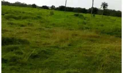 Fazenda na região de Cáceres à venda, 7490000 m² por R$ 14.980.000 - Zona Rural - Cáceres/MT