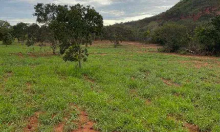 Fazenda na região de Guiratinga à venda, 9000000 m² por R$ 13.500.000 - Zona Rural - Guiratinga/MT
