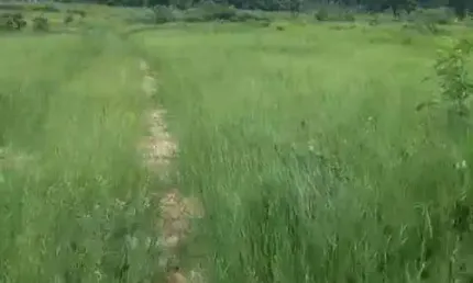 Fazenda na Agrovila das Palmeiras à venda, 2630000 m² por R$ 6.900.000 - Zona Rural - Santo Antônio do Leverger/MT