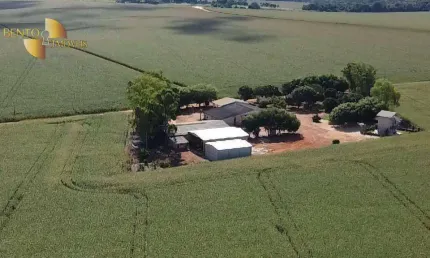 Fazenda à venda, 12400000 m² por r$ 274.223.520,00 - zona rural - nova mutum/mt