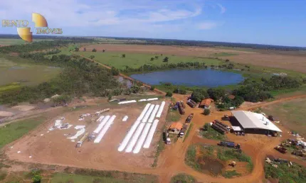Fazenda com dupla aptidão à venda por por R$ 172.000. a 70km da cidade de Cocalinho/MT.