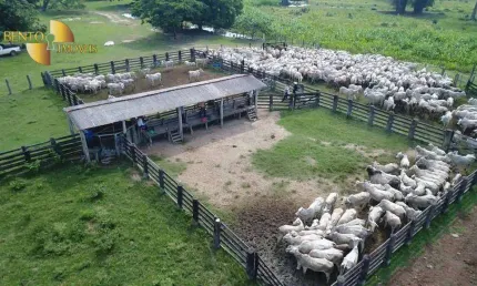 Fazenda à venda, 60000000 m² por R$ 12.000.000,00 - Zona Rural - Poconé/MT