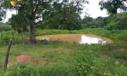 Fazenda à venda, 21260000 m² por r$ 12.756.000,00 - centro - tesouro/mt