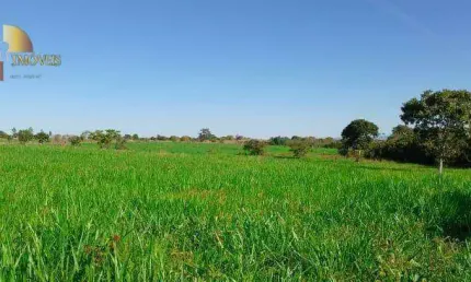 Fazenda na região de Poconé à venda, 10000000 m² por R$ 20.000.000 - Centro - Poconé/MT