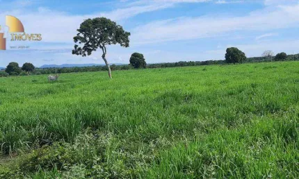 Fazenda em poconé à venda, 6000000 m² por r$ 15.000.000 - zona rural - poconé/mt