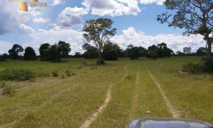 Fazenda na Região de Poconé à venda, 38000000 m² por R$ 25.000.000 - Zona Rural - Poconé/MT