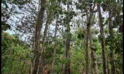 Fazenda localizada na Vila João Carro, Água Fria à venda, 6200000 m² por R$ 6.200.000 - Zona Rural - Chapada dos Guimarães/MT