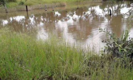 Fazenda em Nossa Senhora do Livramento à venda, 5150000 m² por R$ 7.200.000 - Zona Rural - Nossa Senhora do Livramento/MT