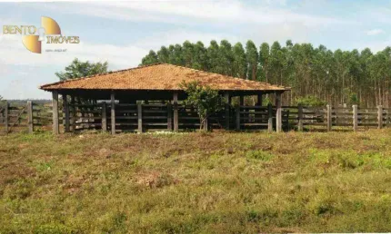 Fazenda à venda, 108900000 m² por R$ 800.000.000,00 - Cidade Nova - Paragominas/PA