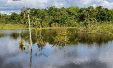 Fazenda à venda, 7750000 m² por R$ 59.721.500,00 - Zona Rural - Primavera do Leste/MT