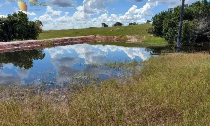 Fazenda em Tesouro à venda, 43060000 m² por R$ 71.200.000 - Tesouro - Tesouro/MT