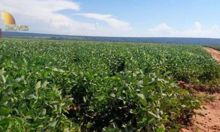 Fazenda 120km de Primavera do Leste à venda, 14000000 m² por R$ 77.064.000 - Zona Rural - Primavera do Leste/MT