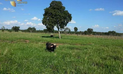 Fazenda na região do Chumbo à venda, 6970000 m² por R$ 20.000.000 - Zona Rural - Poconé/MT