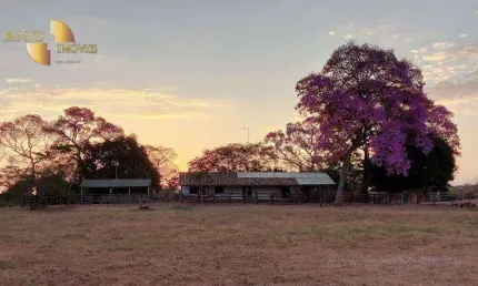 Fazenda no Pantanal à venda, 19000000 m² por R$ 5.500.000 - Zona Rural - Poconé/MT