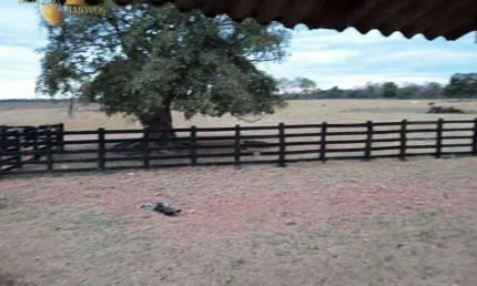 Fazenda no pantanal à venda, 13630000 m² por r$ 12.000.000 - zona rural - poconé/mt