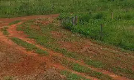 Fazenda proximo a Santa Rita do Trivelato à venda, 15100000 m² por R$ 78.500.000 - Zona Rural - Nova Mutum/MT