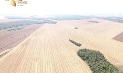 Fazenda em Canarana à venda, 130720000 m² por R$ 970.596.000 - Zona Rural - Canarana/MT