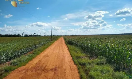 Fazenda em tapurah à venda, 25000000 m² por r$ 165.000.000 - zona rural - tapurah/mt