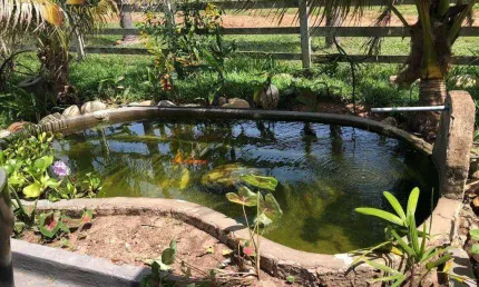 Fazenda em Juscimeira à venda, 5020000 m² por R$ 6.000.000 - Zona Rural - Juscimeira/MT