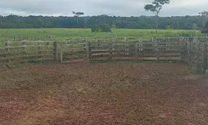 Fazenda á 90km de Rondolandia à venda, 25000000 m² por R$ 50.000.000 - Zona Rural - Rondolândia/MT