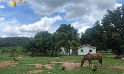 Fazenda com 4890 hectares por 87.000.000 no Pantanal por R$ 87.000. - Zona Rural - Mimoso/Santo Antônio do Leverger - MT