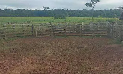 Fazenda à venda, 15890000 m² por R$ 36.000.000,00 - Novo Horizonte - Paranatinga/MT