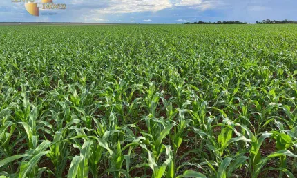 Fazenda à venda, 8500000 m² por r$ 62.000.000,00 - zona rural - sapezal/mt