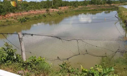 Fazenda à venda, 4700000 m² por R$ 7.050.000,00 - Zona Rural - Cuiabá/MT