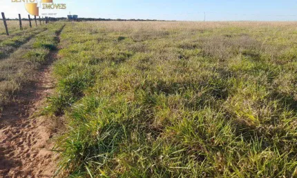 Fazenda à venda, 5564100 m² por R$ 23.000.000,00 - Zona Rural - Nova Mutum/MT
