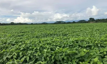 Fazenda à venda na zona rural, santa terezinha , 11111 m2 por r$ 800.000.000