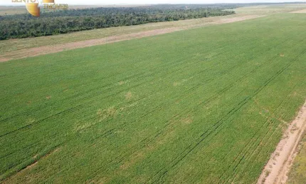 Fazenda à venda, 3220 m² por R$ 132.825.000 - Zona Rural - Paranatinga/MT