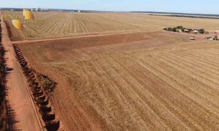Fazenda à venda, 24300000 m² por R$ 144.500.000,00 - Zona Rural - Nova Ubiratã/MT