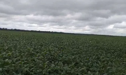 Fazenda à venda, 78000000 m² por R$ 398.492.640,00 - Zona Rural - Paranatinga/MT