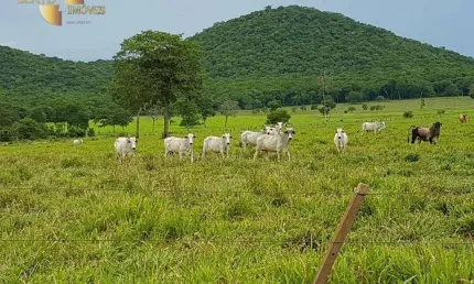 Fazenda à venda, 343850000 m² por R$ 364.920.000,00 - Zona Rural - Cuiabá/MT