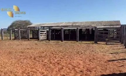 Fazenda à venda, 16050000 m² por r$ 26.500.000,00 - zona rural - juscimeira/mt
