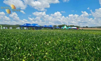 Fazenda à venda, 78170000 m² por r$ 398.230.560,00 - zona rural - paranatinga/mt